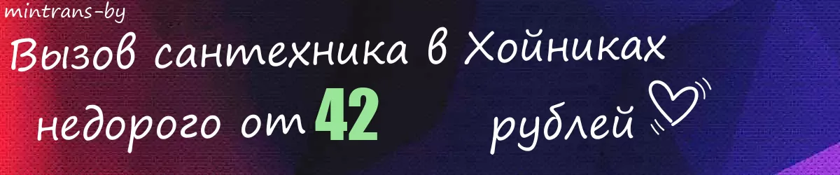 Сантехник в Хойниках