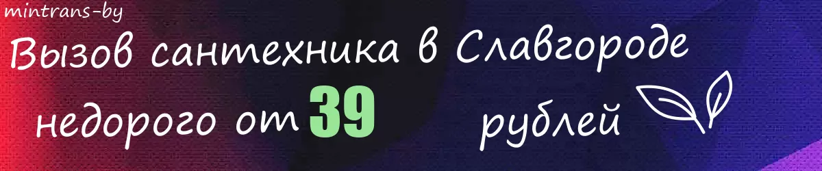 Сантехник в Славгороде